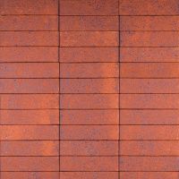 Облицовочный кирпич Ликолор одинарный 0.7 НФ Тайга Вулканы Каменное Пламя бархат, М200